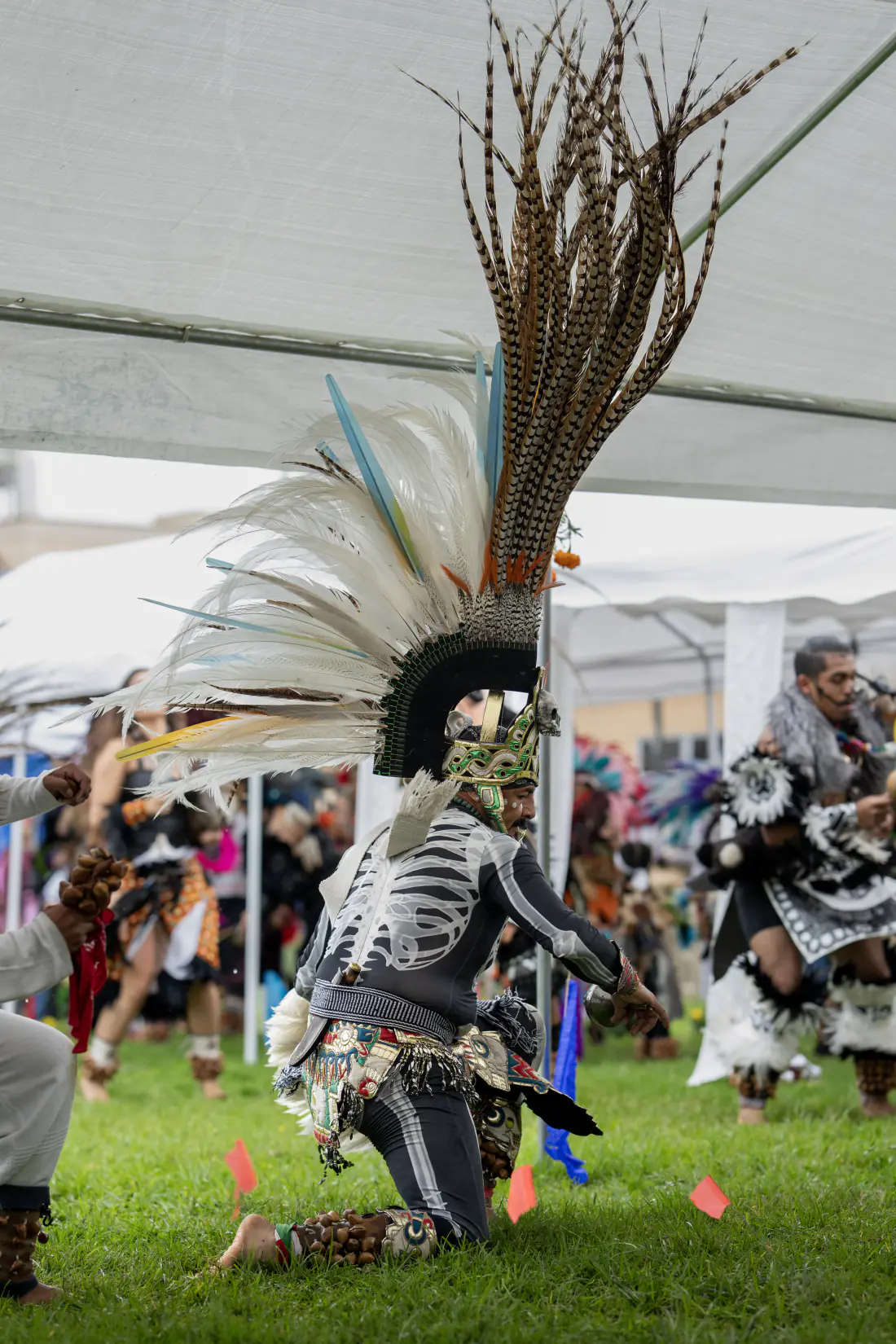 A kneeling dancer in a skeleton-print costume and tall feather headdress, with other dancers behind
