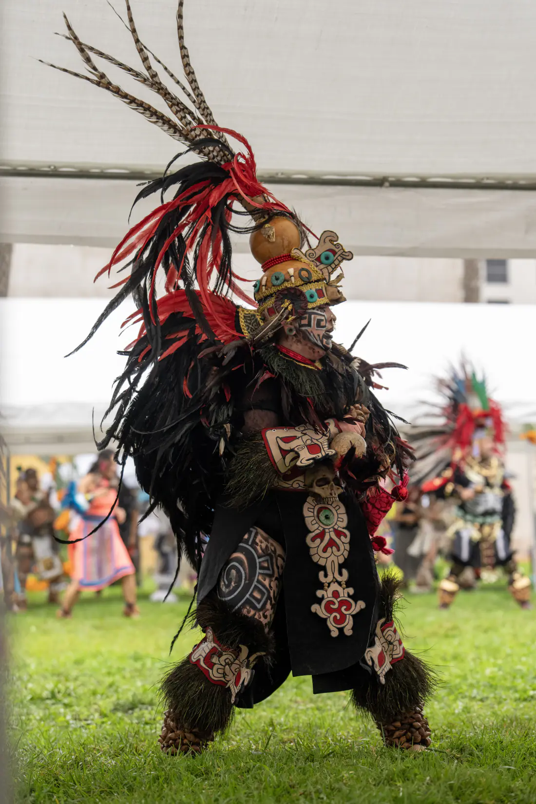 A dancer in a towering red and black feather headdress with a gourd rattle mid-stride